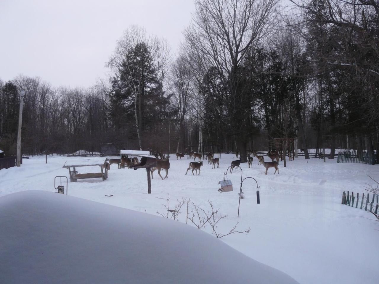 Auberge Des Gallant Rigaud ภายนอก รูปภาพ
